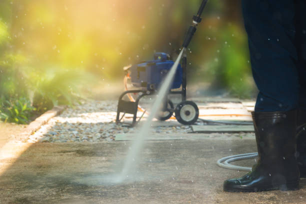 Animal Enclosure Cleaning in Schertz, TX